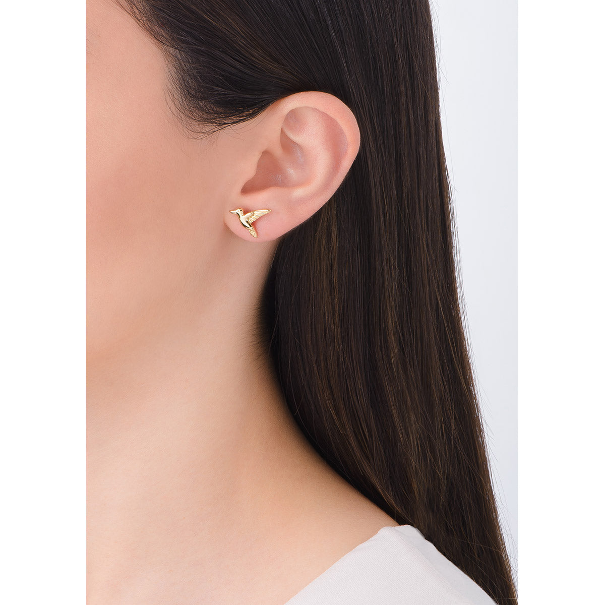 Aretes Colibrí