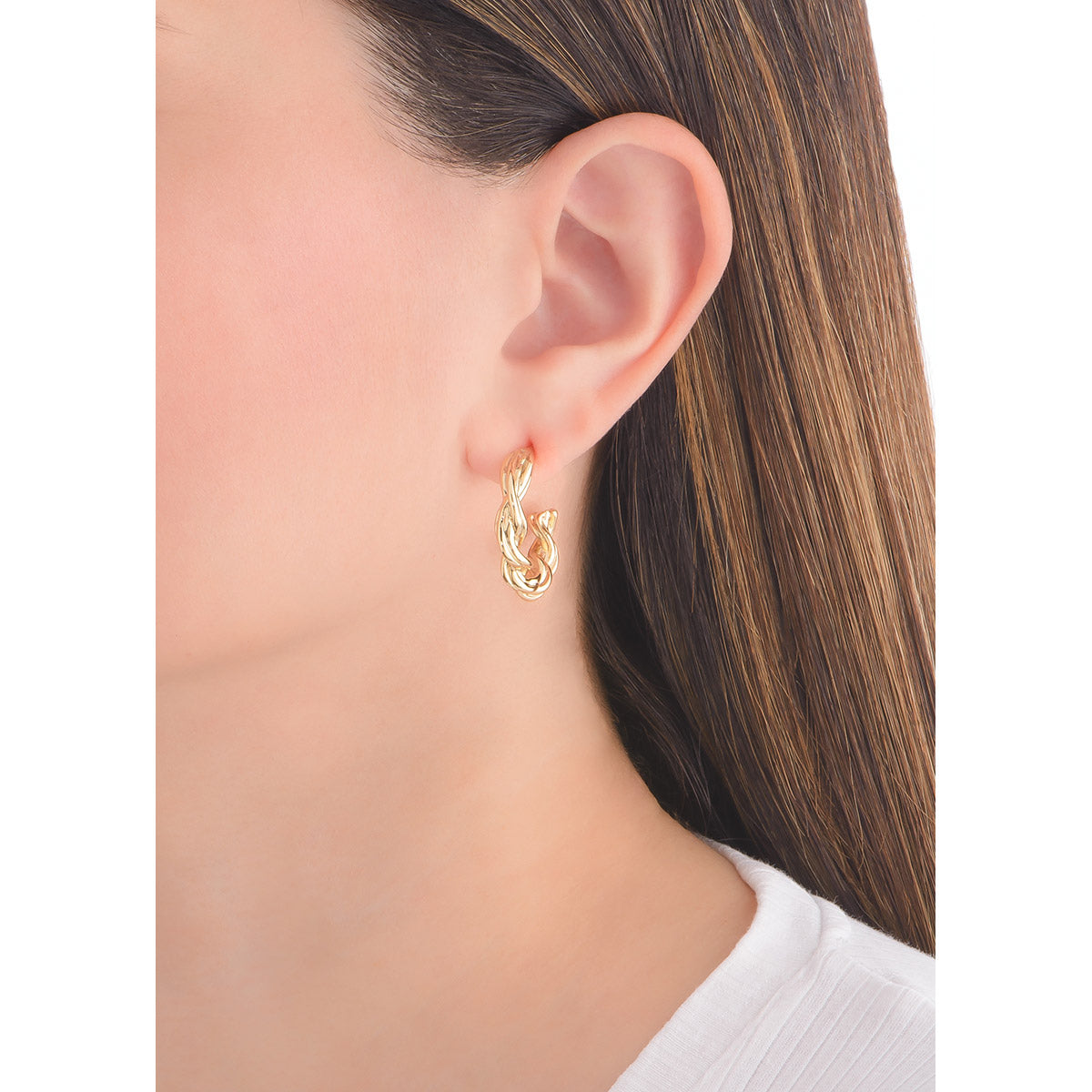 Aretes Terre