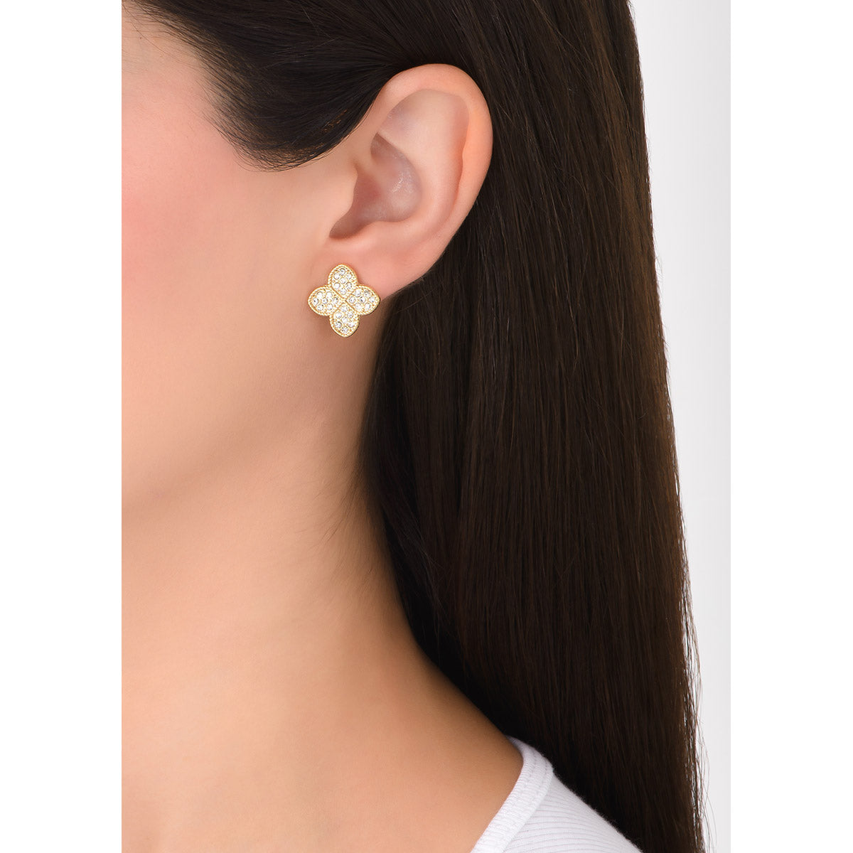 Aretes BeNice