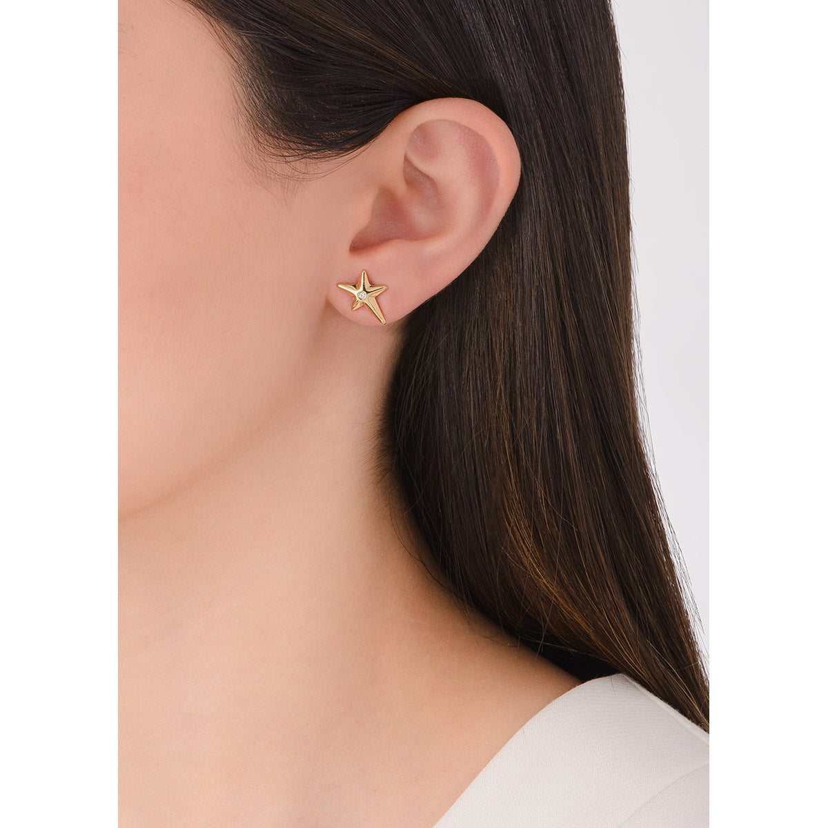 Aretes Altair