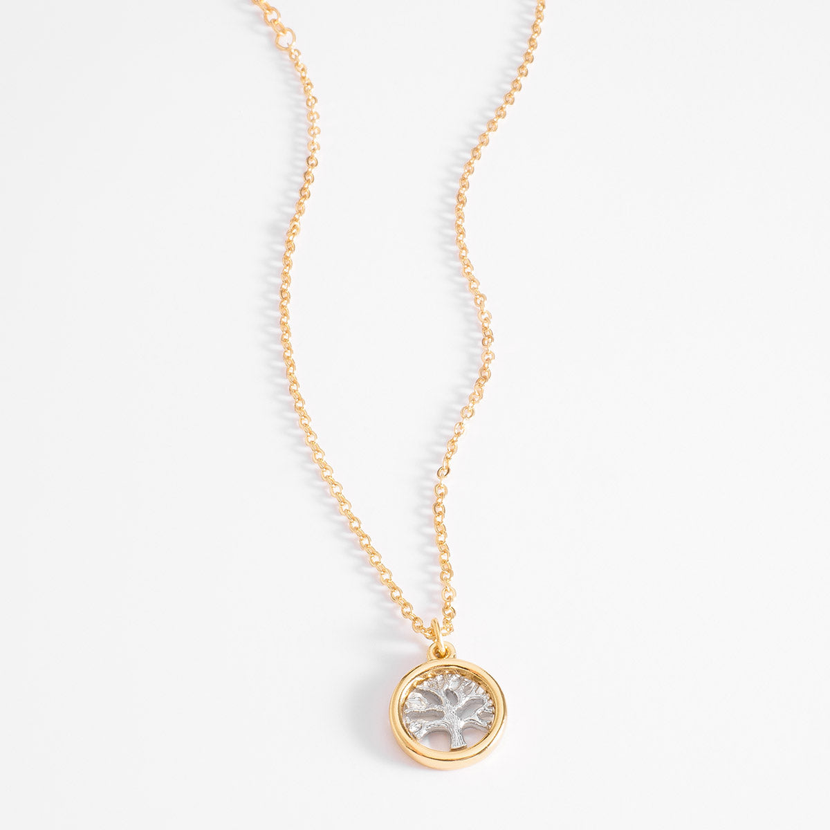 Collar Vida