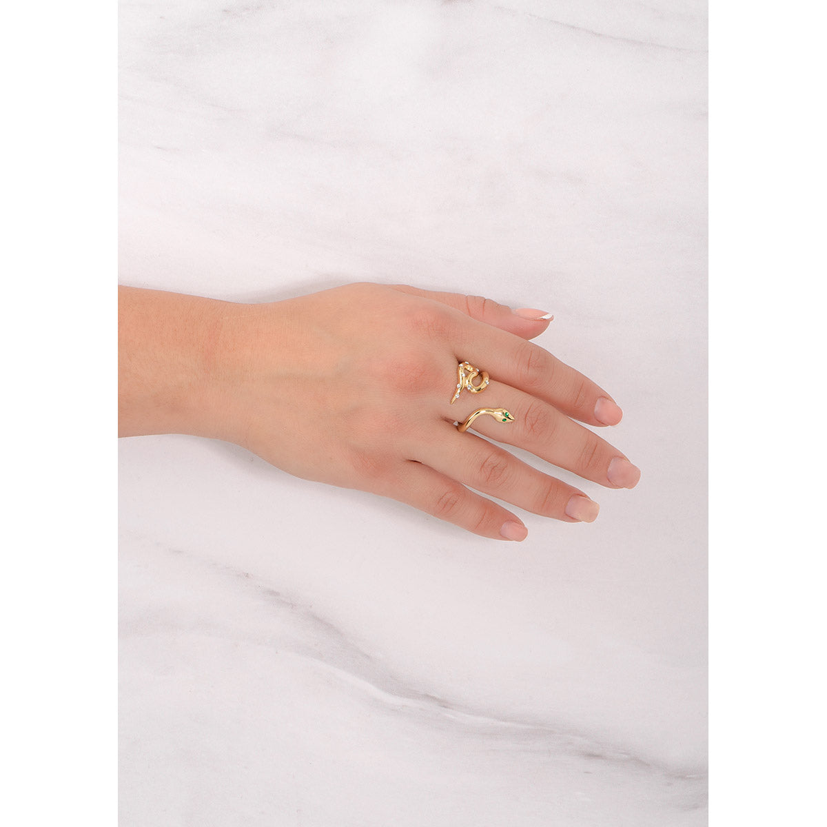 Anillo Snake