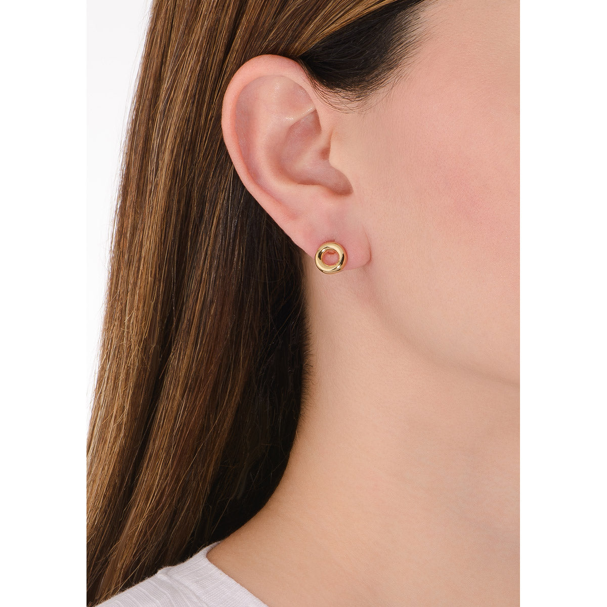 Aretes Donut