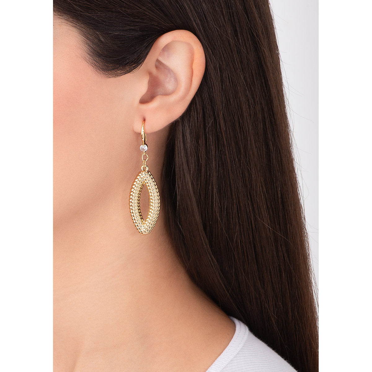 Aretes Turin