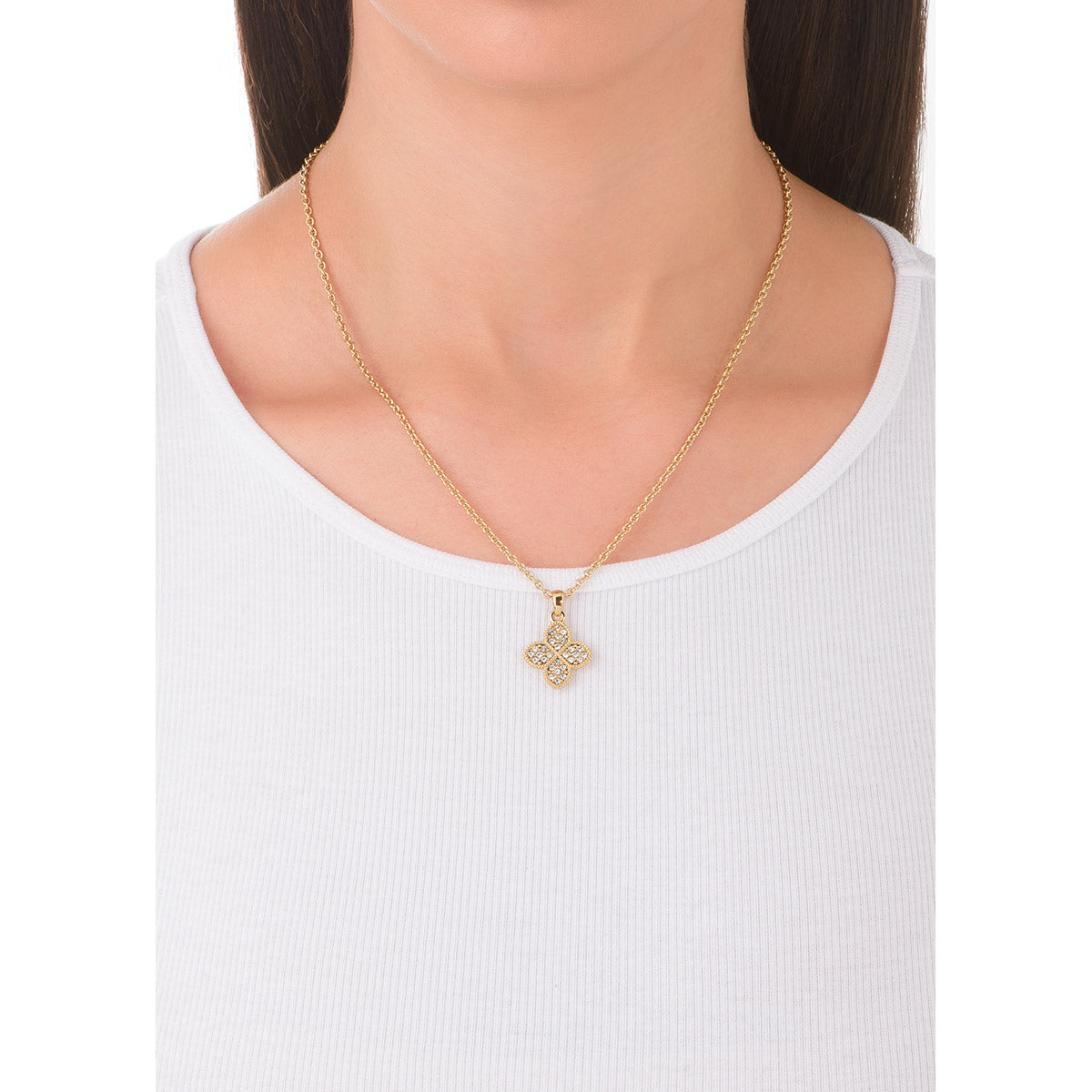 Collar BeNice