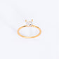 Anillo DimoNice