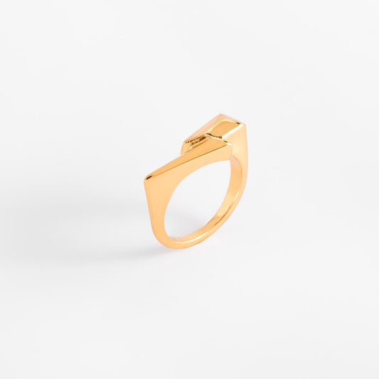 Anillo Flash