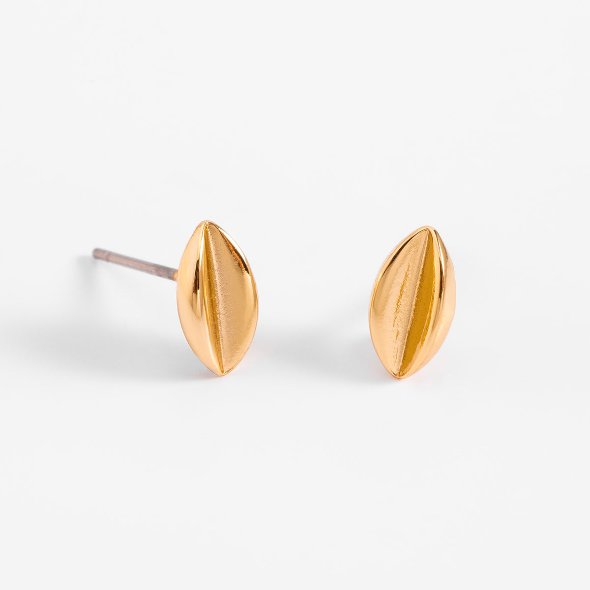 Aretes Geo