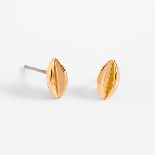 Aretes Geo